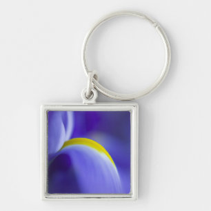Chaveiro Detalhe de uma íris Blue Flag.