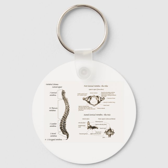 Chaveiro Detalhes da coluna Sepia (Frente)