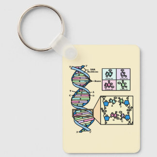 Chaveiro Diagrama de DNA