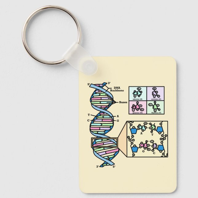 Chaveiro Diagrama de DNA (Frente)