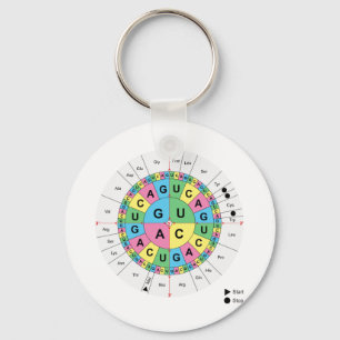 Chaveiro Diagrama de Mesa de Sequência Base Aminoácida