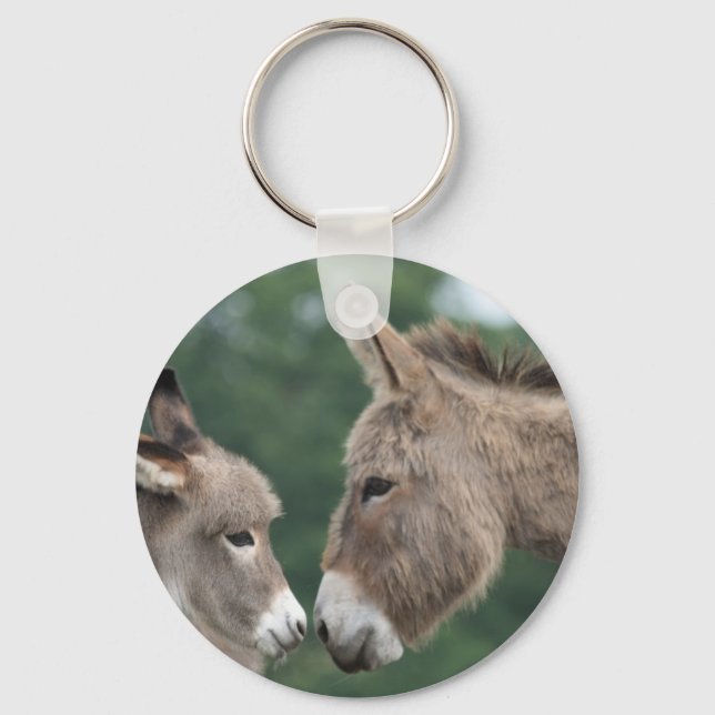 Chaveiro Dinky Donkey (Frente)