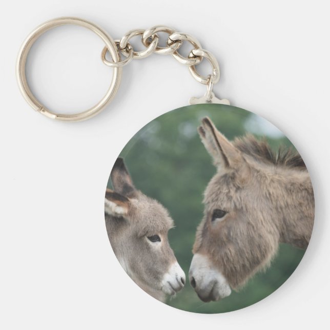 Chaveiro Dinky Donkey (Frente)