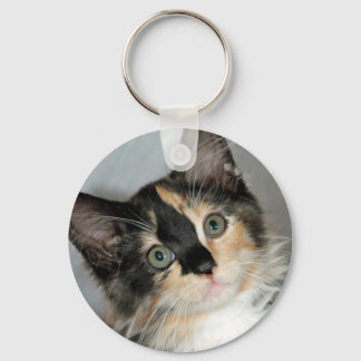Chaveiro do American Longhair Calico Shelter Kitte