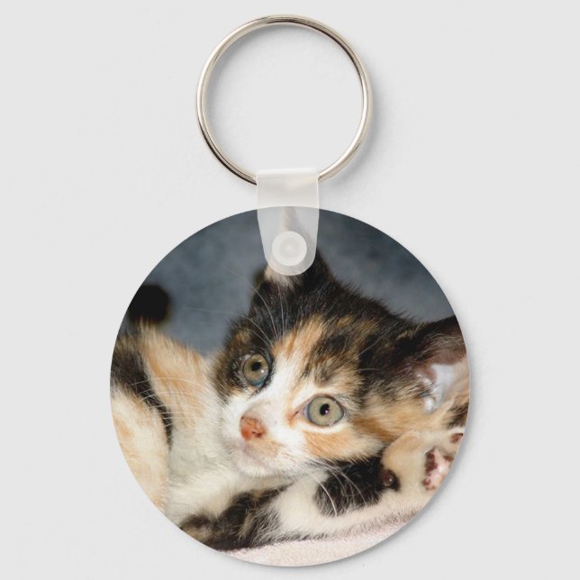 Chaveiro do American Shorthair Calico Shelter Kitt (Frente)