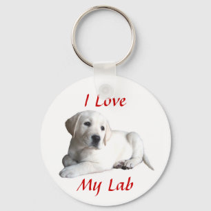 Chaveiro do amor de labrador retriever