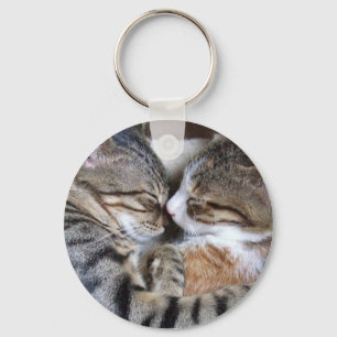 Chaveiro do amor do gato