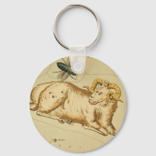 Chaveiro do Aries