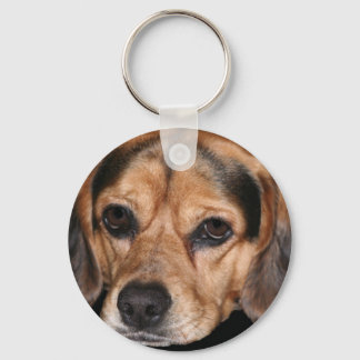 Chaveiro do Beagle
