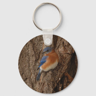 Chaveiro do Bluebird