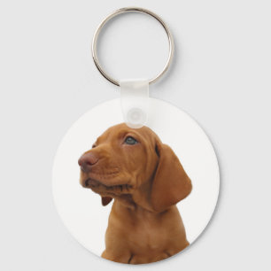Chaveiro do cão
