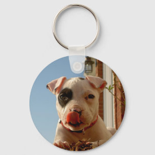 Chaveiro do cão