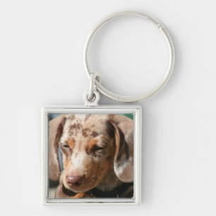 Chaveiro do cão de Daschund