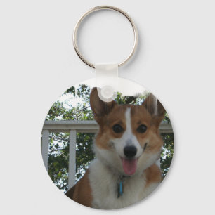 Chaveiro do cão de filhote de cachorro do Corgi