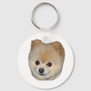 Chaveiro do cão de Pomeranian