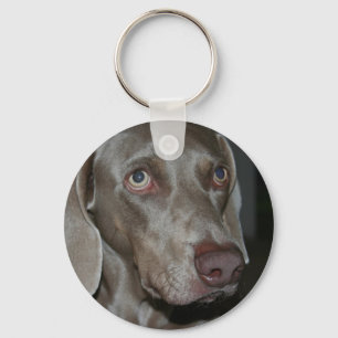 Chaveiro do cão de Weimaraner