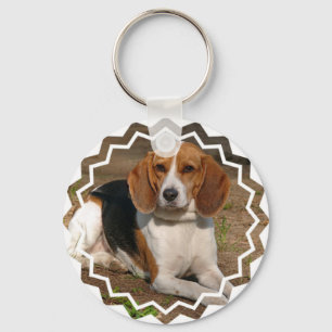 Chaveiro do cão do lebreiro