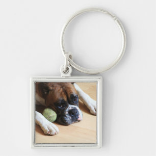 Chaveiro do cão do pugilista