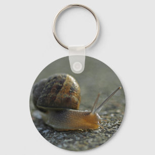 Chaveiro do caracol 1