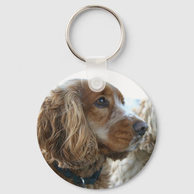 Chaveiro do Cocker Spaniel inglês (Frente)