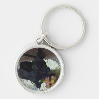 CHAVEIRO DO "CORRENTE CHAVE SUPERIOR BEBÊ POKEMON"