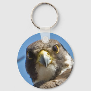 Chaveiro do falcão de peregrino