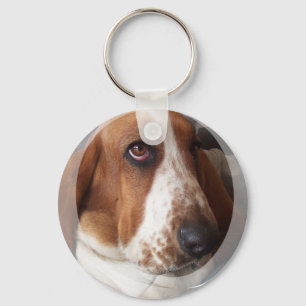 Chaveiro do filhote de cachorro de Basset Hound