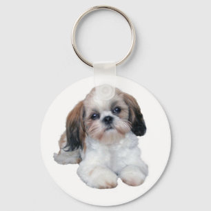 Chaveiro do filhote de cachorro de Shih Tzu