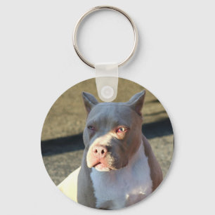 Chaveiro do filhote de cachorro de Staffordshire