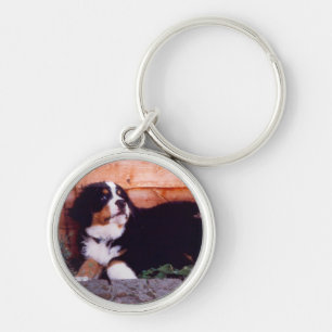 Chaveiro do filhote de cachorro do cão de montanh