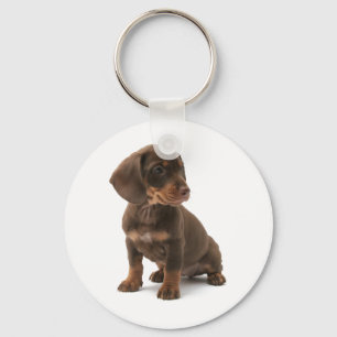 Chaveiro do filhote de cachorro do Dachshund