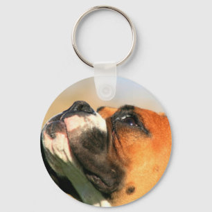 Chaveiro do filhote de cachorro do pugilista