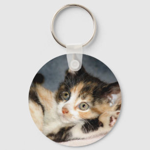 Chaveiro do gatinho do abrigo da chita de