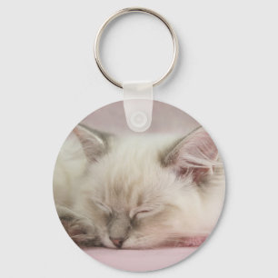 chaveiro do gatinho do ragdoll