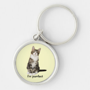 Chaveiro do gato