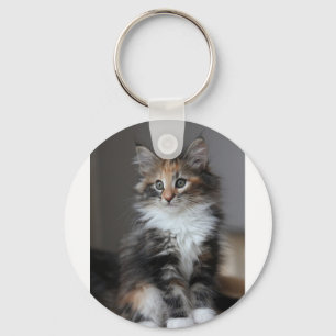 Chaveiro do gato