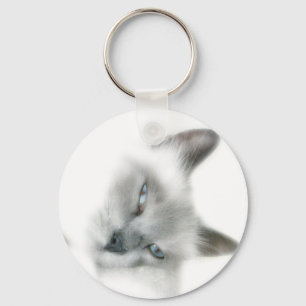 Chaveiro do gato