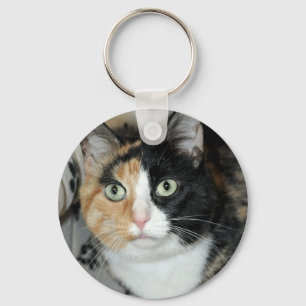 Chaveiro do gato do abrigo da chita de Shorthair