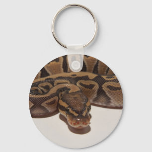 Chaveiro do Ghost Ball Python