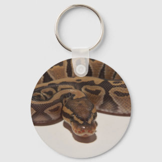 Chaveiro do Ghost Ball Python