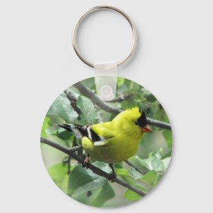 Chaveiro do Goldfinch