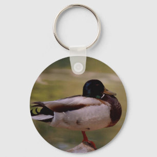 Chaveiro do pato