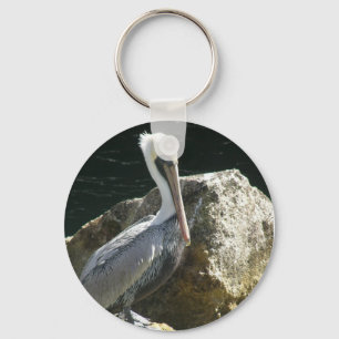Chaveiro do pelicano de Key West