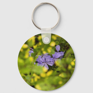 Chaveiro do Plumbago do cabo azul