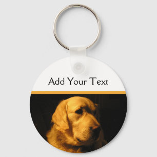 Chaveiro do retrato do golden retriever