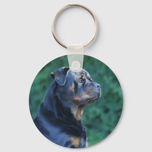 Chaveiro do Rottweiler (Frente)