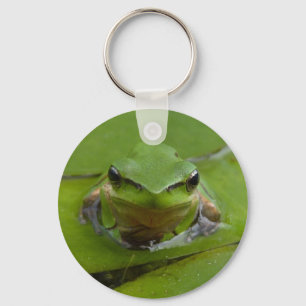 chaveiro do sapo