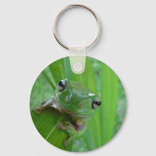 Chaveiro do sapo