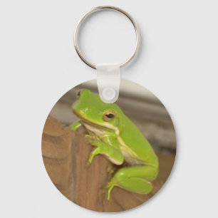 Chaveiro do sapo de árvore