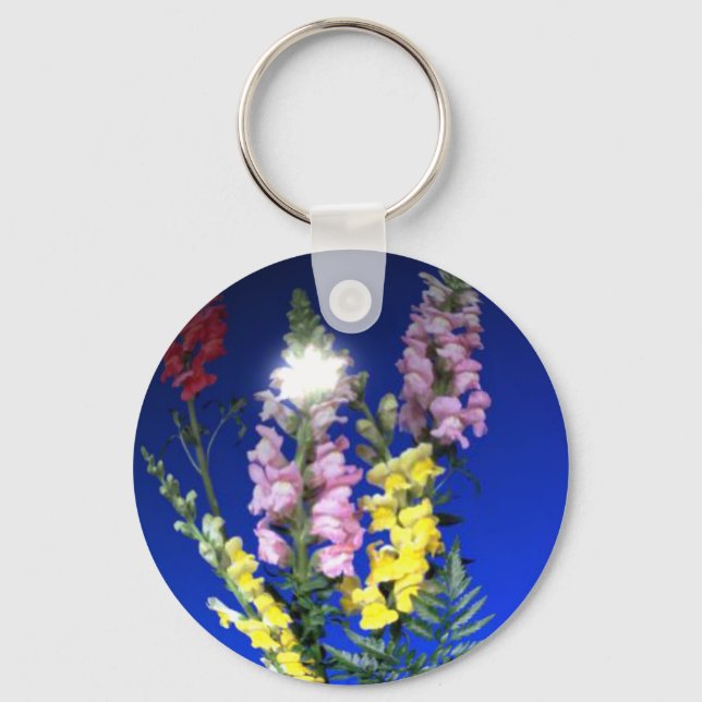 Chaveiro do Snapdragon (Frente)